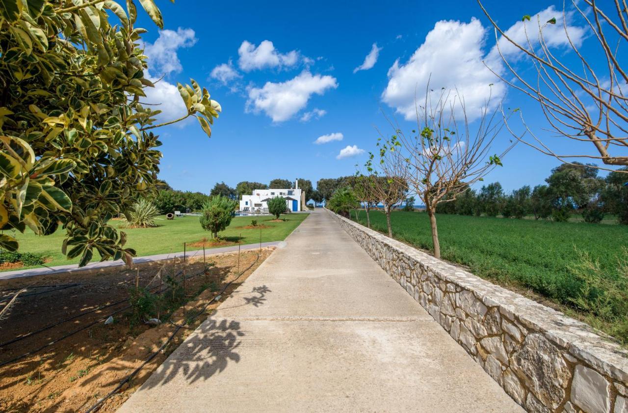 Vila Oasea Tavronitis Exteriér fotografie